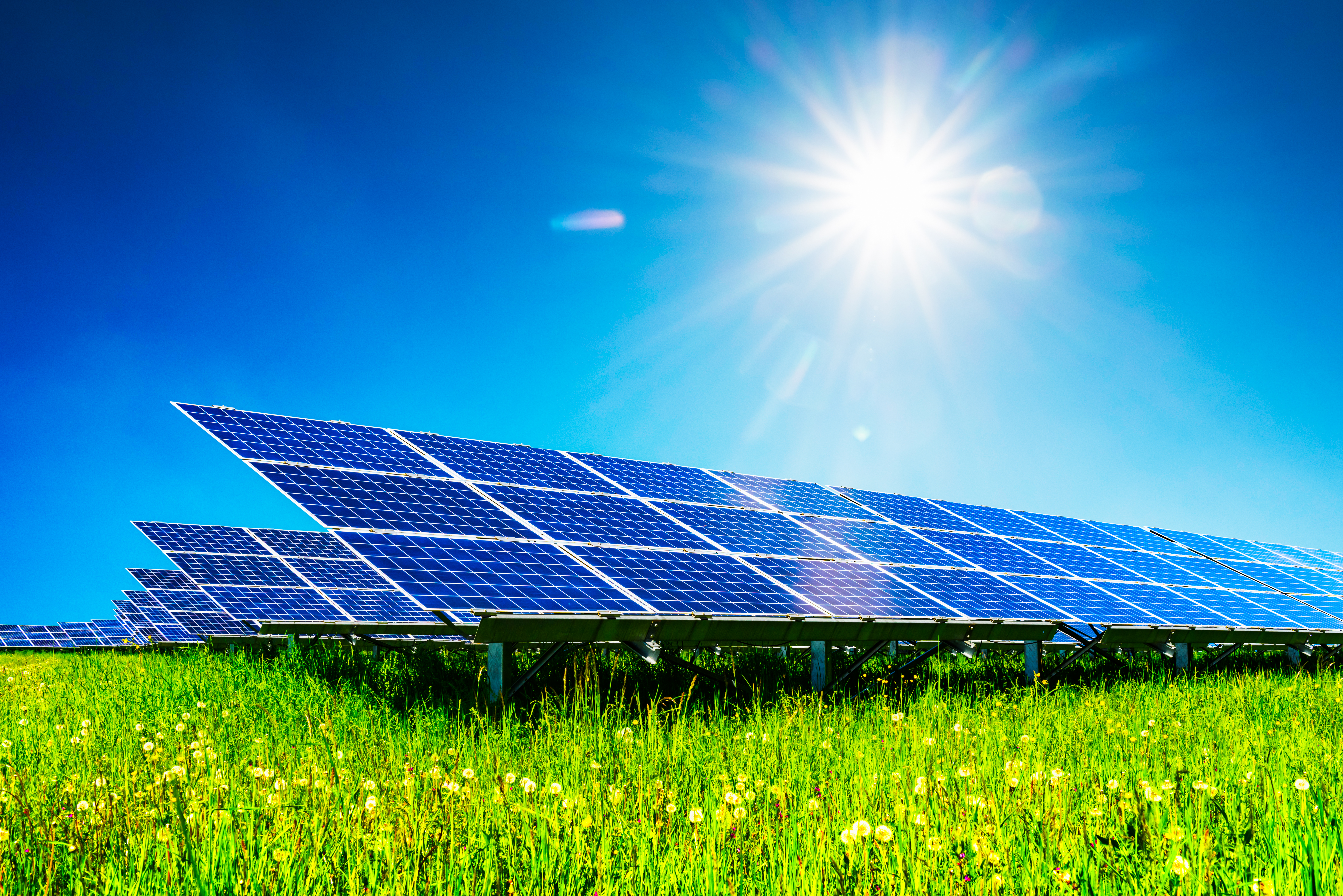 Solar panels under clear blue sky